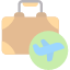 business-flight-global-plane-transportation-travel-trip-icon