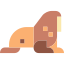 walrus-icon