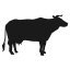 buffalo-icon