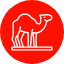 animal-camel-desert-dromedary-journey-mammal-zoo-icon