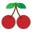 cherry-berry-food-fruit-icon