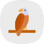 eagle-america-american-bird-independence-united-states-us-icon