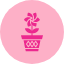 decoration-garden-leaf-plants-pot-potted-icon