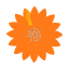 sun-flower-farming-oil-icon