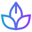 spa-lotus-flower-yoga-user-interface-icon