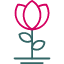 date-flower-gift-love-rose-thoughtful-valentines-icon