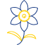 chrysanthemum-daffodil-gladiolus-horticulture-jonquil-narcissus-primrose-icon