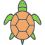 amphibian-animal-domestic-pet-sea-turtle-icon