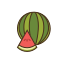 watermelon-icon