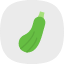 nutrition-healthy-diet-zucchini-food-vegetarian-vegetable-icon