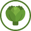 green-cabbage-natural-vitamin-food-healthy-gardening-icon