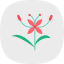 blooming-colorful-decoration-garden-ixora-flower-flowers-icon