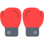 boxing-fight-fist-glove-punch-sport-icon