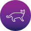 animal-cat-cats-domestic-pet-icon