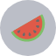 food-fruit-fruits-healthy-watermelon-icon