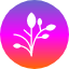 beauty-holistic-natural-organic-plant-based-vegan-digital-nomad-icon