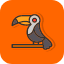 toucan-icon