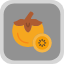 persimmon-fruit-fresh-healthy-food-autumn-fruits-and-vegetables-icon