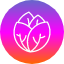 cabbage-plant-harvest-vegetable-fresh-salad-fruits-and-vegetables-icon