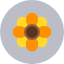 easter-flower-nature-plant-spring-icon