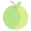 orangetangerine-food-fruit-fruits-icon