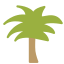 palm-icon