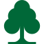 environment-flora-forest-nature-single-tree-icon