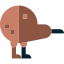 kiwi-icon