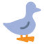 duck-farm-agriculture-hen-farming-icon