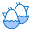 egg-baby-easter-nature-icon