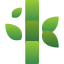 bamboo-branch-forest-leaf-nature-plant-tree-icon