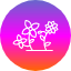 bouquet-daisies-flowers-gerberas-gift-present-gerbera-icon