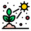 cactus-direct-light-plant-grow-icon