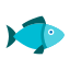 fish-food-icon