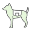animal-dog-leash-nature-pet-puppy-icon