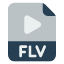 video-format-extension-video-format-flv-icon