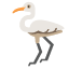 animal-bird-egret-elegant-heron-lake-icon