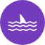 shark-attack-breach-danger-ocean-warning-wildlife-icon-icon