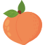 fruit-food-orange-icon-icon