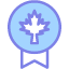 national-badge-sign-canada-leaf-icon