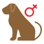 dog-gender-pet-shop-female-icon