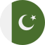 pakistan-icon