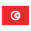 tunisia-country-flag-nation-country-flag-icon