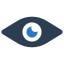 optical-visibility-eye-view-icon