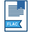 extension-flac-file-document-icon