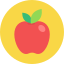 food-orange-flat-orange-fruits-fruit-icons-fruit-fruit-icon-food-icon-icon