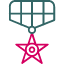 army-award-badge-medal-prize-reward-icon