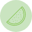food-fruit-melon-summer-vacation-water-icon