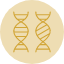 bioengineering-chromosome-comparation-dna-genes-genetic-icon