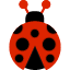 spring-insect-ladybug-bug-icon